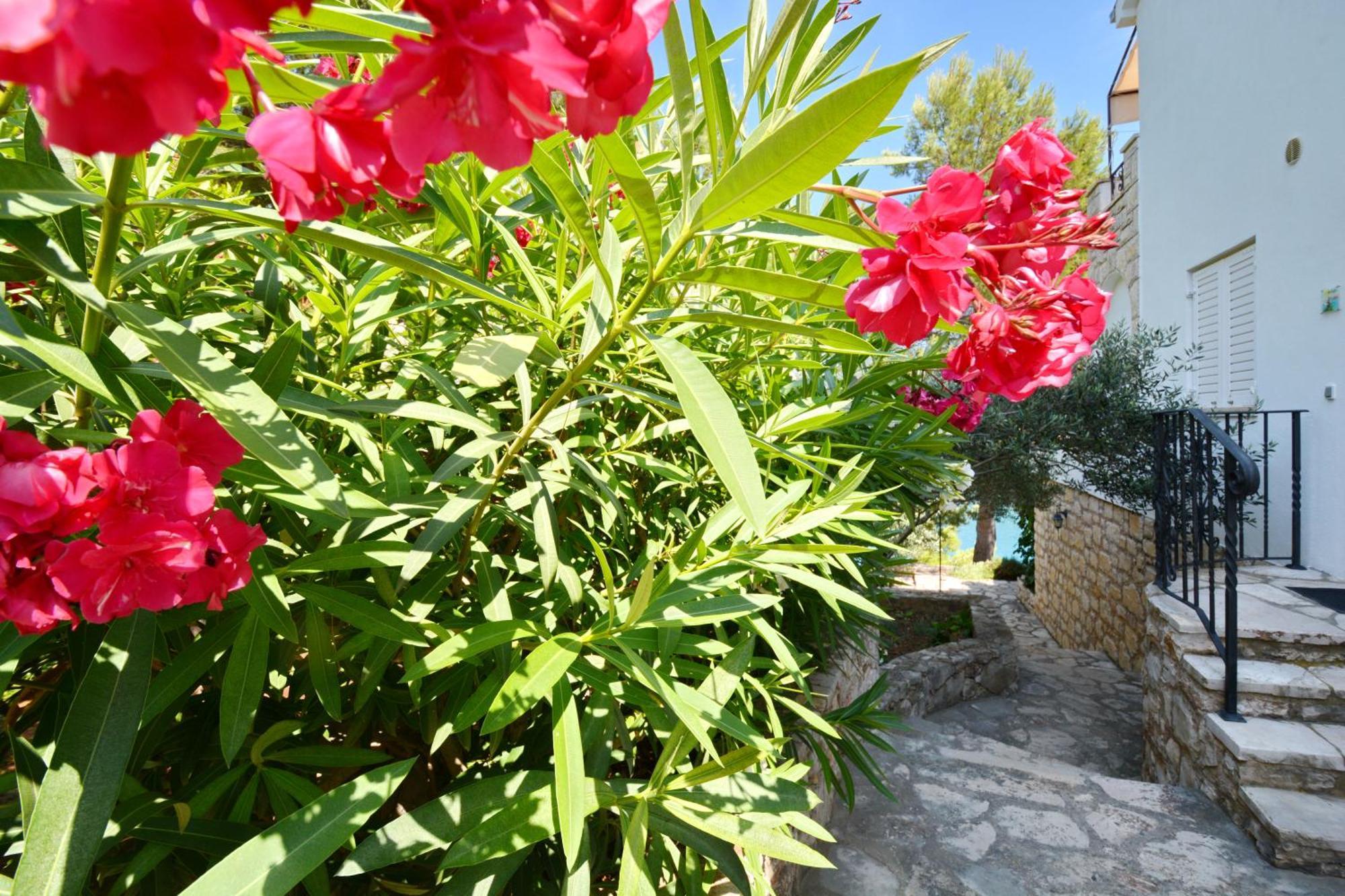 Bay House Rosohotnica Apartment Vrboska Room photo